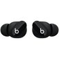 Beats Studio Buds TWS – Black MJ4X3ZM/A hind ja info | Kõrvaklapid | kaup24.ee