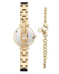 Женские часы Anne Klein AK/3620PLST 891057247 цена и информация | Женские часы | kaup24.ee