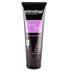 Animology shampoon Flea & Tick, 250ml hind ja info | Animology Lemmikloomatarbed | kaup24.ee