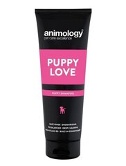 ANIMOLOGY SHAMPOON PUPPY LOVE 250ML hind ja info | Animology Lemmikloomatarbed | kaup24.ee