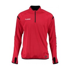 Спортивный джемпер для мужчин Hummel authentic charge M 0334063062, красный цена и информация | Мужская спортивная одежда | kaup24.ee