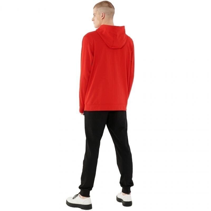 Meeste sviiter, Outhorn M HOL21 BLM602 62S, punast värvi hind ja info | Meeste pusad | kaup24.ee