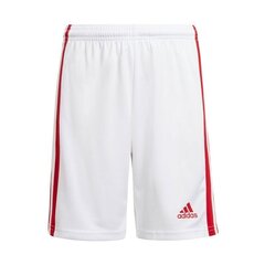 Шорты для мальчиков Adidas Squadra 21 Jr GN5763, белые цена и информация | Poiste lühikesed püksid | kaup24.ee