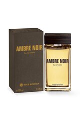 Туалетная вода Ambre Noir Homme 100ml цена и информация | Мужские духи | kaup24.ee