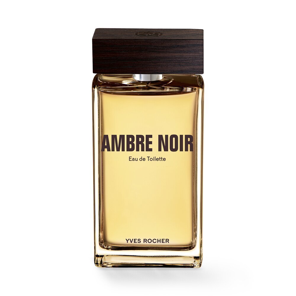 Tualettvesi Ambre Noir Homme 100 ml цена и информация | Meeste parfüümid | kaup24.ee