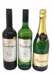 Vendanges alkoholivaba veini degusteerimise komplekt hind ja info | Mittealkohoolsed joogid | kaup24.ee