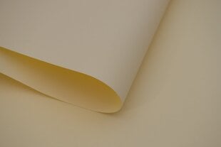 Рулонная штора настенная тканевая Dekor 150x170 cм, d-18 бежевый цена и информация | Рулонные шторы | kaup24.ee