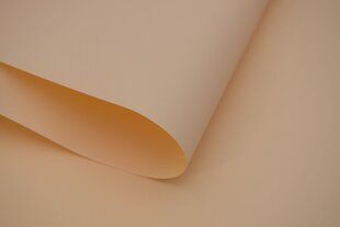 Настенный тканевый ролет Dekor 180x170 см, d-22 серый цена и информация | Рулонные шторы | kaup24.ee