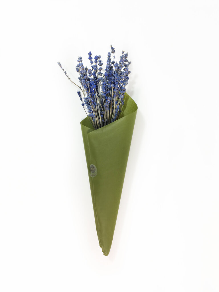 Dekoratiivne lavendel цена и информация | Uinuvad roosid, taimed | kaup24.ee