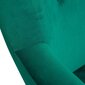 MOSS Green tugitool 50x96 cm hind ja info | Tugitoolid ja tugitoolvoodid | kaup24.ee