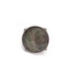 Серебряное кольцо SGMR2063BMOP цена и информация | Кольцо | kaup24.ee