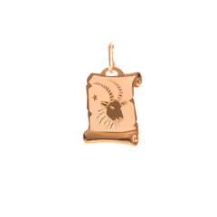 Золотой кулон со знаком зодиака ''Козерог'' ZKZ033/1 цена и информация | Украшения на шею | kaup24.ee