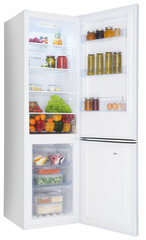 Amica FK2995.2FT цена и информация | Холодильники | kaup24.ee