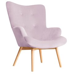 Кресло розовое 50x96 см цена и информация | Кресла | kaup24.ee