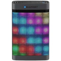 Blaupunkt BT07LED FM цена и информация | Аудиоколонки | kaup24.ee