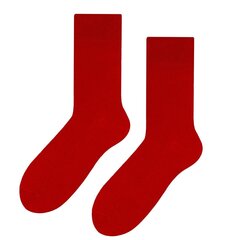Мужские носки (три пары в упаковке) цена и информация | Мужские носки | kaup24.ee