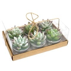 Küünlakomplekt, agave kaktusekujuline, 6 tk hind ja info | Küünlad, küünlajalad | kaup24.ee