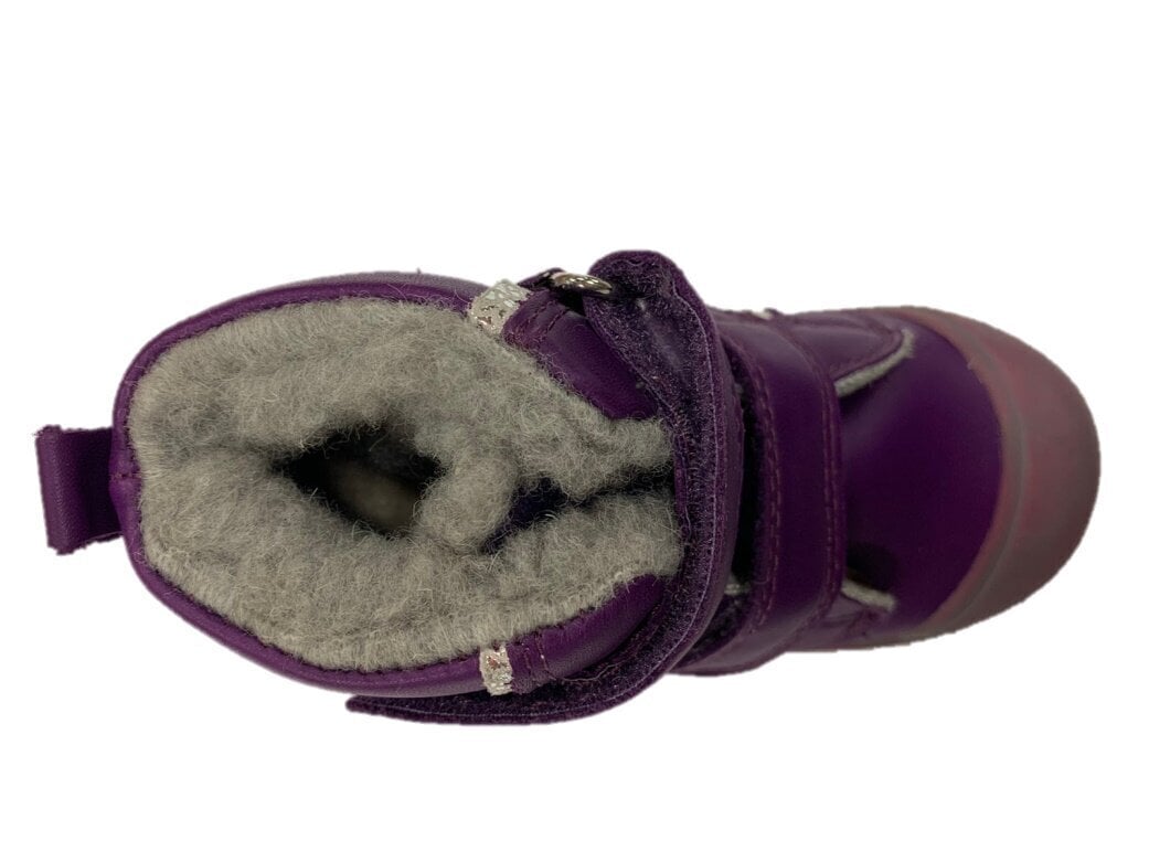 Laste talvesaapad, nahast, D.D.Step/Ponte 20/ DAO3-1-308A Lavender hind ja info | Laste talvesaapad | kaup24.ee