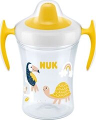 Tass huuliku ja käepidemetega, NUK 751140 Evolution Trainer tass, 230ml цена и информация | Детская посуда, контейнеры для молока и еды | kaup24.ee