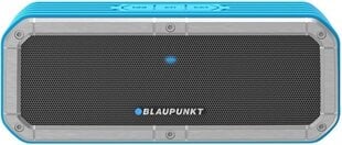 Blaupunkt BT12 OUTDOOR  цена и информация | Аудиоколонки | kaup24.ee