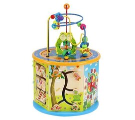 Деревянный обучающий куб 7711 цена и информация | Игрушки для малышей | kaup24.ee