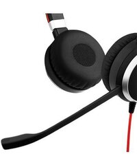 Jabra Evolve 40 Stereo UC SME APAC/EMEA SME 100-55910000-99 hind ja info | Kõrvaklapid | kaup24.ee