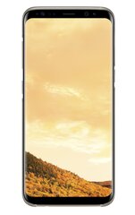 Чехол-крышка для Samsung Galaxy S8 (G950) Золотистый цена и информация | Чехлы для телефонов | kaup24.ee