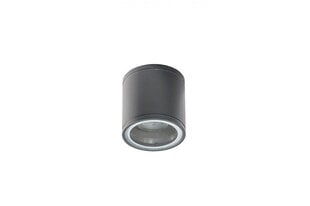 Azzardo потолочный светильник Joe Tube Grey AZ3313 цена и информация | Потолочные светильники | kaup24.ee