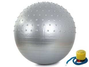 Täispuhutav treeningpall 65 cm pumbaga hind ja info | Võimlemispallid | kaup24.ee