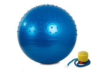 Fitness pall 55 cm hind ja info | Võimlemispallid | kaup24.ee