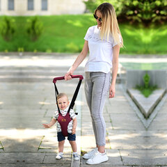 Väikelaste kõndimistraksid Lorelli Step by Step, Red /Black hind ja info | Laste ohutustarvikud | kaup24.ee