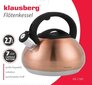 Veekeetja viledega KLAUSBERG 2,7L KB-7385 VASK цена и информация | Kohvikannud, teekannud | kaup24.ee