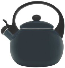 Стальной чайник объемом 2,2 л цена и информация | Чайники, кофейники | kaup24.ee
