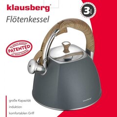 VETEL KLAUSBERG 3L KB-7501 цена и информация | Чайники, кофейники | kaup24.ee