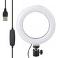 Ring LED -lamp Platinet blogijatele PMRL6 цена и информация | Fotovalgustuse seadmed | kaup24.ee