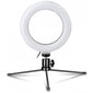 Ring LED -lamp Platinet blogijatele PMRL6 цена и информация | Fotovalgustuse seadmed | kaup24.ee