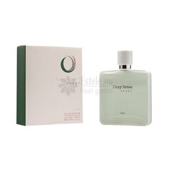 Parfüüm meestele Deep Sense Sport EDP, 100 ml hind ja info | Meeste parfüümid | kaup24.ee