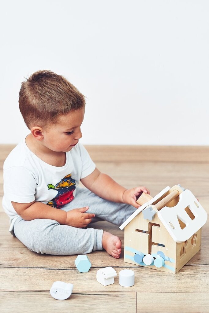 Sorter - hariv mäng puidust kuubikutega hind ja info | Arendavad mänguasjad | kaup24.ee