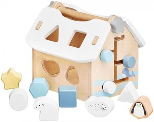 Sorter - деревянный учебный домик с кубиками цена и информация | Развивающие игрушки | kaup24.ee