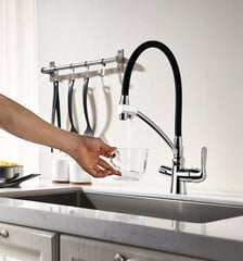 Смеситель для кухни с подключением к фильтру питьевой воды Lemark LM3070C Comfort, хром (10 лет гарантии) цена и информация | Кухонные смесители | kaup24.ee