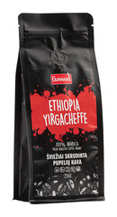 Gurman's Ethiopia Yirgacheffe кофейные зерна, 250г цена и информация | Kohv, kakao | kaup24.ee