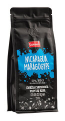 Кофе в зернах Gurman's Nicaragua Maragogype, 250 г цена и информация | Кофе, какао | kaup24.ee