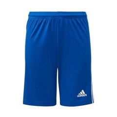 Poiste lühikesed püksid, Adidas Squadra 21 Jr GK9156, sinist värvi цена и информация | Шорты для мальчиков | kaup24.ee