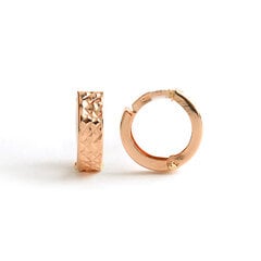 Золотые серьги-кольца с алмазной огранкой ZAG471 цена и информация | Серьги | kaup24.ee