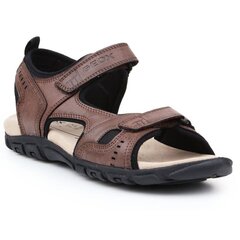 Meeste sandaalid Geox US Strada AM U4224A-000ME-C6009, pruun hind ja info | Geox Meestele | kaup24.ee