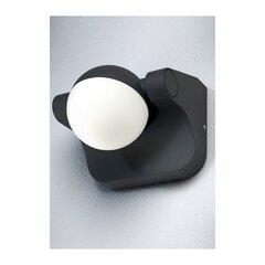 Lamp Endura style Sphere 8W DG Osram hind ja info | Endura Aiakaubad | kaup24.ee