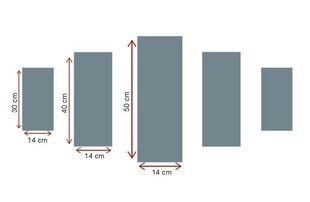 Viieosaline reproduktsioon Punane vihmavari hind ja info | Seinapildid | kaup24.ee