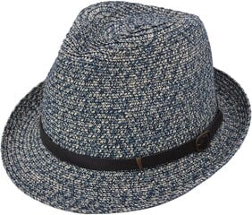 Suvine õlgkübar Trilby, sinine hind ja info | Meeste sallid, mütsid ja kindad | kaup24.ee