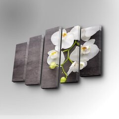 Репродукция из пяти частей Орхидея белая цена и информация | Картины, живопись | kaup24.ee