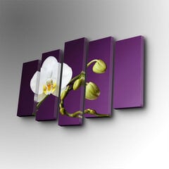 Репродукция из пяти частей Орхидея белая цена и информация | Картины, живопись | kaup24.ee